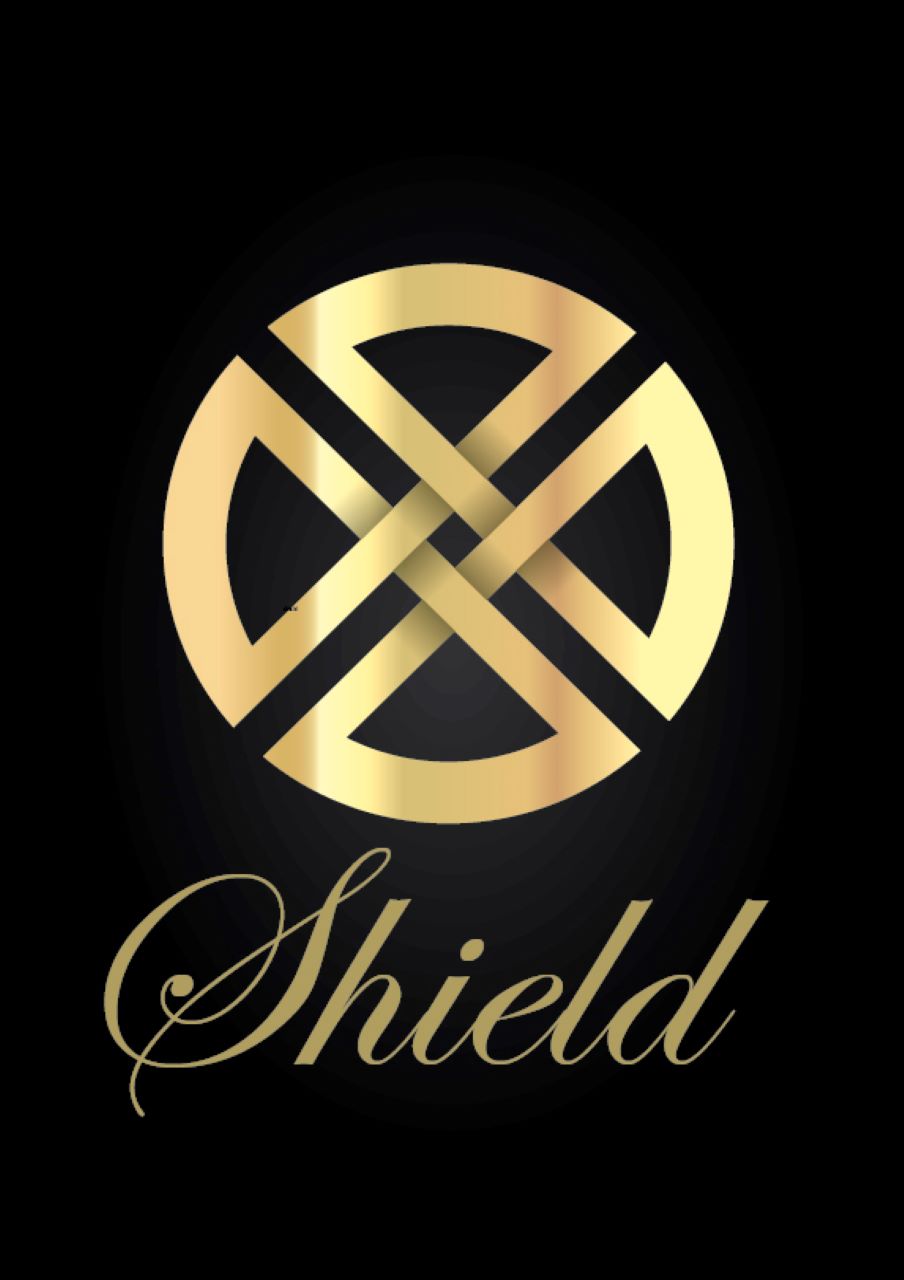 Professional Logo for “ Shield ” – Design for a Strong Brand Identity